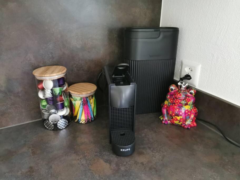 Schones Kleines Studio Mit Sitzplatz, Mitten Im Prattigau Jenaz Luaran gambar