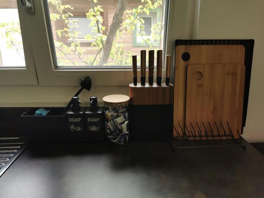 Schones Kleines Studio Mit Sitzplatz, Mitten Im Prattigau Jenaz Luaran gambar