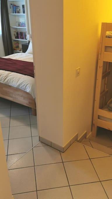 Schones Kleines Studio Mit Sitzplatz, Mitten Im Prattigau Jenaz Luaran gambar